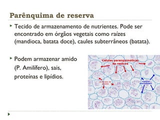 Parênquima de reserva
 Tecido de armazenamento de nutrientes. Pode ser
encontrado em órgãos vegetais como raízes
(mandioca, batata doce), caules subterrâneos (batata).
 Podem armazenar amido
(P. Amilífero), sais,
proteínas e lipídios.
 