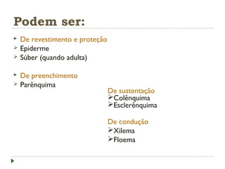 Podem ser:
 De revestimento e proteção
 Epiderme
 Súber (quando adulta)
 De preenchimento
 Parênquima
De sustentação
Colênquima
Esclerênquima
De condução
Xilema
Floema
 