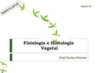 Fisiologia e Histologia
Vegetal
Prof Carlos Priante
REINO
PLANTAE
AULA 14
 