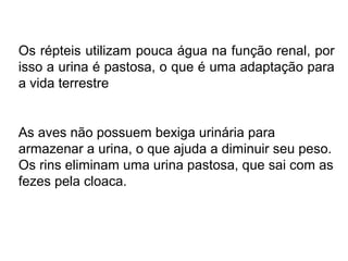 Os répteis utilizam pouca água na função renal, por
isso a urina é pastosa, o que é uma adaptação para
a vida terrestre
As aves não possuem bexiga urinária para
armazenar a urina, o que ajuda a diminuir seu peso.
Os rins eliminam uma urina pastosa, que sai com as
fezes pela cloaca.
 
