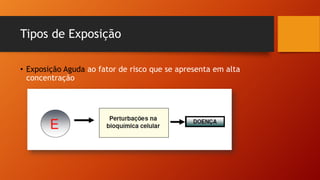 Tipos de Exposição
• Exposição Aguda ao fator de risco que se apresenta em alta
concentração
 