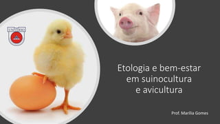 Etologia e bem-estar
em suinocultura
e avicultura
Prof. Marília Gomes
 