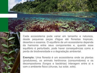Cada ecossistema pode variar em tamanho e natureza,
desde pequenas poças d'água até florestas tropicais,
desertos e oceanos. O equilíbrio de um ecossistema depende
da harmonia entre seus componentes e, quando esse
equilíbrio é perturbado, pode haver consequências como a
perda de biodiversidade e a degradação ambiental.
Exemplo: Uma floresta é um ecossistema onde as plantas
(produtores), os animais herbívoros (consumidores) e os
decompositores (fungos e bactérias) interagem entre si e
com o ambiente físico (chuvas, luz solar, solo).
 