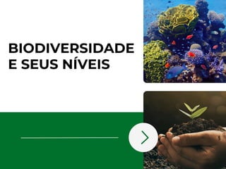 BIODIVERSIDADE
E SEUS NÍVEIS
 