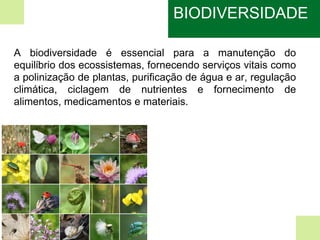 A biodiversidade é essencial para a manutenção do
equilíbrio dos ecossistemas, fornecendo serviços vitais como
a polinização de plantas, purificação de água e ar, regulação
climática, ciclagem de nutrientes e fornecimento de
alimentos, medicamentos e materiais.
BIODIVERSIDADE
 