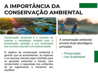 A IMPORTÂNCIA DA
CONSERVAÇÃO AMBIENTAL
Conservação ambiental é o conjunto de
práticas e estratégias voltadas para a
preservação, proteção e uso sustentável
dos recursos naturais e da biodiversidade.
O objetivo da conservação ambiental é
garantir que os ecossistemas, as espécies
e os recursos naturais sejam mantidos para
as gerações presentes e futuras, sem
comprometer a capacidade dos ambientes
de se regenerarem e manterem seu
equilíbrio.
A conservação ambiental
envolve duas abordagens
principais:
Preservação
Uso Sustentável
 