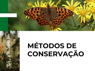 MÉTODOS DE
CONSERVAÇÃO
 