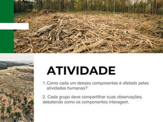 ATIVIDADE
Como cada um desses componentes é afetado pelas
atividades humanas?
1.
2. Cada grupo deve compartilhar suas observações,
debatendo como os componentes interagem.
 
