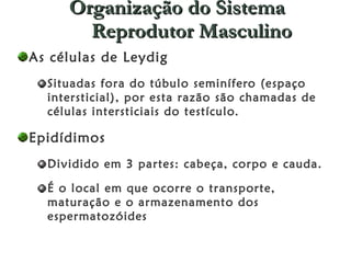 Organização do Sistema Reprodutor Masculino As células de Leydig  Situadas fora do túbulo seminífero (espaço intersticial), por esta razão são chamadas de células intersticiais do testículo.  Epidídimos  Dividido em 3 partes: cabeça, corpo e cauda.  É o local em que ocorre o transporte,  maturação e o armazenamento dos espermatozóides  