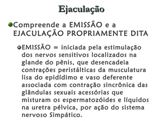 Ejaculação Compreende a EMISSÃO e a EJACULAÇÃO PROPRIAMENTE DITA  EMISSÃO = iniciada pela estimulação dos nervos sensitivos localizados na glande do pênis, que desencadeia contrações peristálticas da musculatura lisa do epidídimo e vaso deferente associada com contração sincrônica das glândulas sexuais acessórias que misturam os espermatozóides e líquidos na uretra pélvica, por ação do sistema nervoso Simpático.  