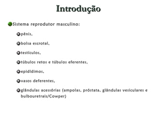 Introdução Sistema reprodutor masculino: pênis,  bolsa escrotal,  testículos,  túbulos retos e túbulos eferentes, epidídimos,  vasos deferentes,  glândulas acessórias (ampolas, próstata, glândulas vesiculares e bulbouretrais/Cowper)  