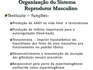 Organização do Sistema Reprodutor Masculino Testículo – funções: Produção de AMH na vida fetal  e testosterona Produção de Inibina importante para a autoregulação (feed-back)  Testosterona  - Imprint hipotalâmico do hipotálamo dos fetos do sexo masculino pra funcinamento no padrão tônico Desenvolvimento e manutenção da secreção das glândulas sexuais acessórias  Responsável pela parte da espermatogênese conhecida como espermiogênese  