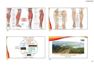 21/05/2020
12
Flexores
(Posterior)
Extensores
(Anterior)
FIM
Viver é como andar de bicicleta: É preciso estar em constante
movimento para manter o equilíbrio.
Albert Einstein
105 106
107 108
 