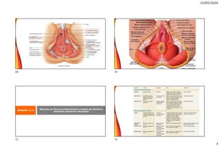 21/05/2020
3
EXIBIÇÃO 11.11
Músculos do Tórax que Movimentam o Cíngulo dos Membros
Superiores (Clavícula e Escápula)
69 70
71 72
 