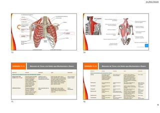 21/05/2020
4
EXIBIÇÃO 11.12 Músculos do Tórax e do Ombro que Movimentam o Úmero EXIBIÇÃO 11.12 Músculos do Tórax e do Ombro que Movimentam o Úmero
73 74
75 76
 