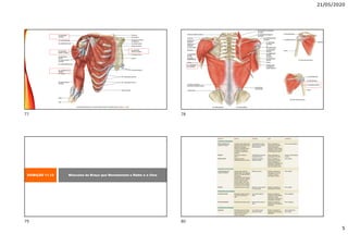 21/05/2020
5
EXIBIÇÃO 11.13 Músculos do Braço que Movimentam o Rádio e a Ulna
77 78
79 80
 