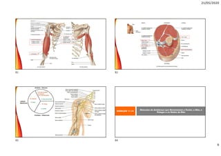 21/05/2020
6
EXIBIÇÃO 11.14
Músculos do Antebraço que Movimentam o Punho, a Mão, o
Polegar e os Dedos da Mão
81 82
83 84
 