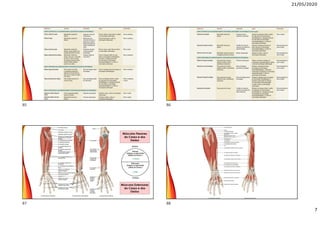 21/05/2020
7
Músculos Extensores
do Carpo e dos
Dedos
Músculos Flexores
do Carpo e dos
Dedos
85 86
87 88
 