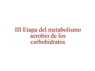 III Etapa del metabolismo
aerobio de los
carbohidratos
 