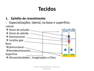 Tecidos
1. Epitélio de revestimento
- Especializações: lateral, na base e superfície.
Lateral
 Zonas de oclusão
 Zonas de adesão
 Desmossomo
 Junções gap
Base
Lâmina basal
Hemidesmossomo
Superfície
 Microvislosidades , Invaginações e Cílios.


                        Tecidos corporais (Epitélios) - Prof.ª Carla
                                      Nascimento
 