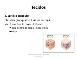 Tecidos
2. Epitélio glandular
Classificação: quanto à via de excreção
Via  para fora do corpo – Exócrinas
     para dentro do corpo – Endócrinas
    Mista




                     Tecidos corporais (Epitélios) - Prof.ª Carla
                                   Nascimento
 