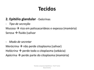 Tecidos
2. Epitélio glandular - Exócrinas
- Tipo de secreção
Mucosa  rico em polissacarídeos e expessa (mamária)
Serosa  fluido (salivar

- Modo de secretar
Merócrina  não perde citoplasma (salivar)
Holócrina  perde todo o citoplasma (sebácia)
Apócrina  perde parte do citoplasma (mamária)


                    Tecidos corporais (Epitélios) - Prof.ª Carla
                                  Nascimento
 