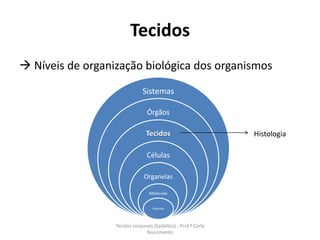 Tecidos
 Níveis de organização biológica dos organismos
                               Sistemas

                                 Órgãos

                                 Tecidos                         Histologia

                                 Células

                                Organelas

                                  Moléculas


                                    Átomos



                  Tecidos corporais (Epitélios) - Prof.ª Carla
                                Nascimento
 