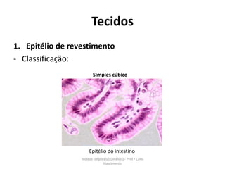 Tecidos
1. Epitélio de revestimento
- Classificação:
                          Simples cúbico




                       Epitélio do intestino
                  Tecidos corporais (Epitélios) - Prof.ª Carla
                                Nascimento
 