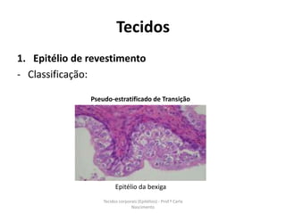 Tecidos
1. Epitélio de revestimento
- Classificação:

               Pseudo-estratificado de Transição




                         Epitélio da bexiga
                   Tecidos corporais (Epitélios) - Prof.ª Carla
                                 Nascimento
 