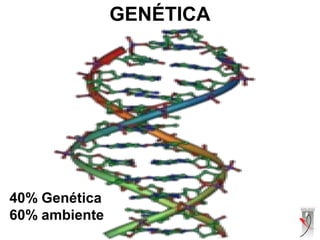 GENÉTICA
40% Genética
60% ambiente
 