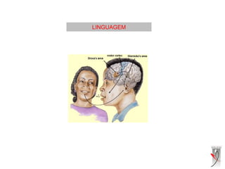 LINGUAGEM
 