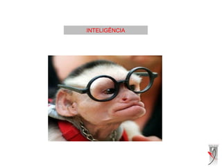 INTELIGÊNCIA
 