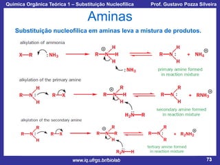 Química Orgânica Teórica 1 – Substituição Nucleofílica

Prof. Gustavo Pozza Silveira

Aminas
Substituição nucleofílica em aminas leva a mistura de produtos.

www.iq.ufrgs.br/biolab

73

 