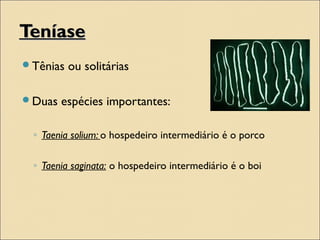 TeníaseTeníase
Tênias ou solitárias
Duas espécies importantes:
◦ Taenia solium: o hospedeiro intermediário é o porco
◦ Taenia saginata: o hospedeiro intermediário é o boi
 