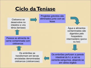 Ciclo daTeníaseCiclo daTeníase
Proglotes grávidos são
eliminados junto com as
fezes
Água e alimentos
contaminados são
digeridos pelo
hospedeiro
intermediário (porco
ou boi)
Os embriões perfuram a parede
intestinal do h.i. e cai na
corrente sanguínea, alojando-se
em vários órgãos
Os embriões se
transformam em larvas
encistadas denominadas
cisticercos (cisticercose)
Pessoa se alimenta de
carne contaminada com
cisticercos
Cisticerco se
desenvolve no
intestino e vira
tênia (teníase)
 