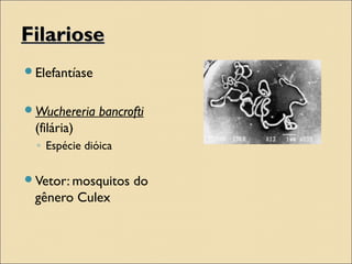 FilarioseFilariose
Elefantíase
Wuchereria bancrofti
(filária)
◦ Espécie dióica
Vetor: mosquitos do
gênero Culex
 
