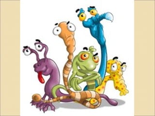 Doenças: Vírus, Bactérias e Vermes