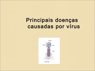 Principais doenças
causadas por vírus
 