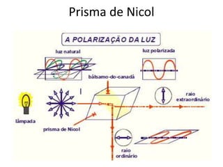 Prisma de Nicol
 