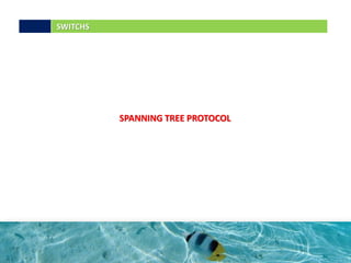 SPANNING TREE PROTOCOL
SWITCHS
 
