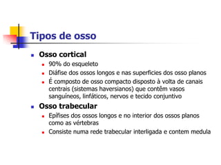 Tipos de osso
   Osso cortical
       90% do esqueleto
       Diáfise dos ossos longos e nas superficies dos osso planos
       É composto de osso compacto disposto à volta de canais
        centrais (sistemas haversianos) que contêm vasos
        sanguíneos, linfáticos, nervos e tecido conjuntivo
   Osso trabecular
       Epífises dos ossos longos e no interior dos ossos planos
        como as vértebras
       Consiste numa rede trabecular interligada e contem medula
 