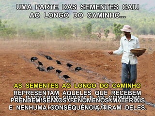 UMA PARTE DAS SEMENTES CAIU
AO LONGO DO CAMINHO...
OS PÁSSAROS VIERAM E AS COMERAM.
AS SEMENTES AO LONGO DO CAMINHO
REPRESENTAM AQUELES QUE RECEBEM
OS ENSINAMENTOS ESPIRITUAIS E NÃO
LHES DÃO ATENÇÃO.
PRENDEM-SE AOS FENÔMENOS MATERIAIS
E NENHUMA CONSEQUÊNCIA TIRAM DELES.
 