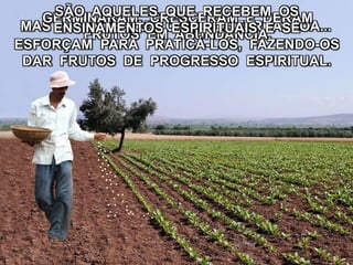 MAS A PARTE QUE CAIU EM TERRA BOA...
GERMINARAM, CRESCERAM E DERAM
FRUTOS EM ABUNDÂNCIA.
SÃO AQUELES QUE RECEBEM OS
ENSINAMENTOS ESPIRITUAIS E SE
ESFORÇAM PARA PRATICÁ-LOS, FAZENDO-OS
DAR FRUTOS DE PROGRESSO ESPIRITUAL.
 