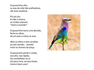 O passarinho olha
as asas da mãe tão acolhedoras,
são asas voadoras.

Piu piu piu
A mãe o chama,
os irmãos clamam:
“Você é covarde!”

O passarinho toma uma decisão,
fecha os olhos,
dá um pulo e estica as asas.

Abre os olhos e nem acredita
já está voando... voando
entre as árvores da praça.

O passarinho perde o medo,
voa alto, voa rápido,
faz cambalhota no ar.
Vai para cima, vai para baixo.
Como é bom voar!
 