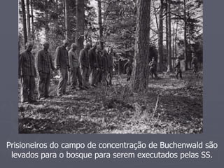 Prisioneiros do campo de concentração de Buchenwald são
 levados para o bosque para serem executados pelas SS.
 