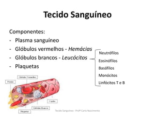 Tecido Sanguíneo
Componentes:
- Plasma sanguíneo
- Glóbulos vermelhos - Hemácias
                                                         Neutrófilos
- Glóbulos brancos - Leucócitos                         Eosinófilos
- Plaquetas                                             Basófilos
                                                        Monócitos
                                                        Linfócitos T e B




                 Tecido Sanguíneo - Profª Carla Nascimento
 