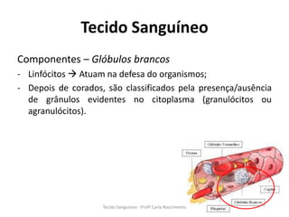 Tecido Sanguíneo
Componentes – Glóbulos brancos
- Linfócitos  Atuam na defesa do organismos;
- Depois de corados, são classificados pela presença/ausência
  de grânulos evidentes no citoplasma (granulócitos ou
  agranulócitos).




                                                                0

                    Tecido Sanguíneo - Profª Carla Nascimento
 