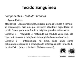 Tecido Sanguíneo
Componentes – Glóbulos brancos
- Agranulócitos:
Monócitos – Após produzidos, migram para os tecidos e tornam-
se macrófagos, fase em que possuem atividade fagocitária; no
tecido ósseo, podem se fundir e originar grandes osteocastos.
Linfócito B – Produzido e maturado na medula vermelha, são
especializados na produção de imunoglobulinas (anticorpos).
Linfócito T – Diferenciado no Timo, pode atuar como
estimuladores (auxílio à produção de anticorpos pelo linfócito B)
ou citotóxico (ataca e destrói células anormais).


                     Tecido Sanguíneo - Profª Carla Nascimento
 