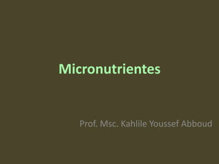 Micronutrientes 
Prof. Msc. Kahlile Youssef Abboud  