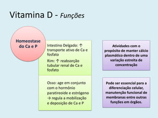 Vitamina D - Funções 
Intestino Delgado: ↑ transporte ativo de Ca e fosfato Rim: ↑ reabsorção tubular renal de Ca e fosfato 
Osso: age em conjunto com o hormônio paratireoide e estrógeno → regula a mobilização e deposição de Ca e P 
Homeostase do Ca e P 
Atividades com o propósito de manter cálcio plasmático dentro de uma variação estreita de concentração 
Pode ser essencial para a diferenciação celular, manutenção funcional de membranas entre outras funções em órgãos.  